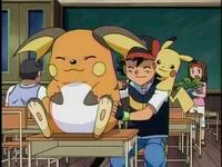 Acampamento pokemon