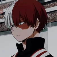 Shoto Todoroki