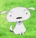 Shin chan pet