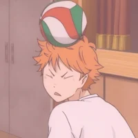 HQ shoyo hinata