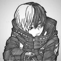Shoto Todoroki
