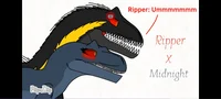 Midnight x Ripper