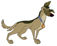 Charlie B Barkin