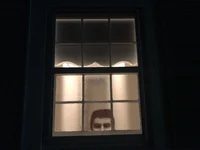 The man at th window