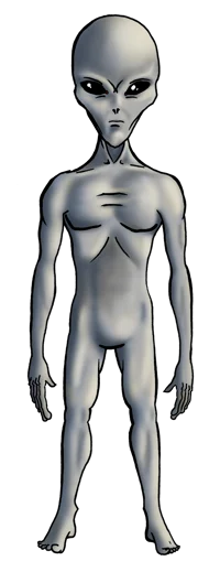 Grey Aliens