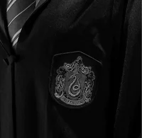 Slytherin friends