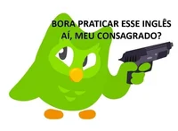 Duolingo brasil