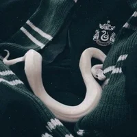 Slytherin boys