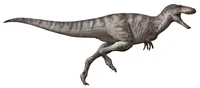 Asiatyrannus Xui