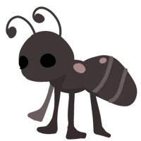 ant