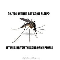 Mosquito at 3am 