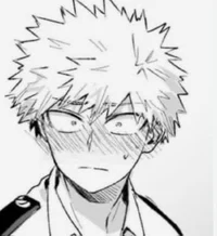Katsuki bakugo 