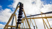 Montu Busch Gardens