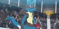 Pokéblast1 -Lucario