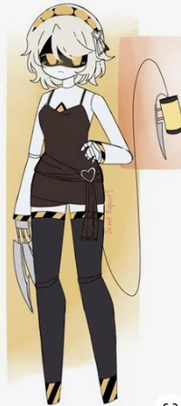 Serial Designation V