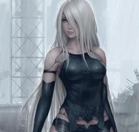 A2  