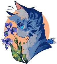 Jayfeather 