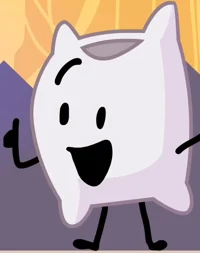 Pillow - BFB