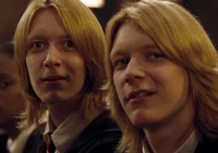 Фред и Джордж Уизли 