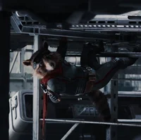 Rocket Raccoon 