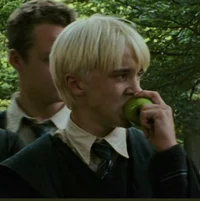 Dracco Malfoy
