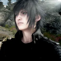 Noctis Lucis Caelum