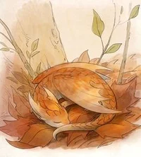 Hatchling dragon