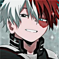 Todoroki shoto