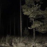 Creature of the Wood