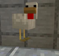 Raj the Chicken