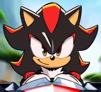 Shadow The Hedgehog