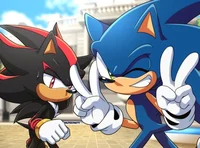 Sonic and Shadow