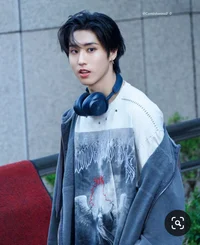 Han Jisung twin 