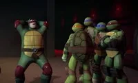 Ninja Turtles 