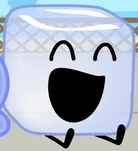 Ice cube bfdi