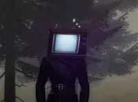 Tv woman 