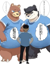 Bear Shippers