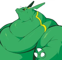 Fat Rayquaza