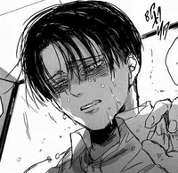 Levi Ackerman 