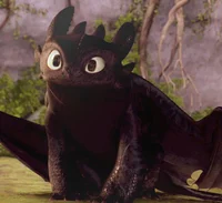 -Httyd RPG-