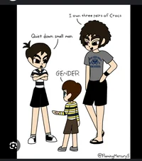 The Heffley Brothers