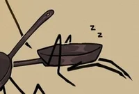 pan