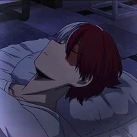 Shoto Todoroki 