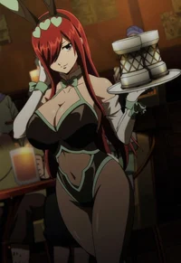 Erza scarlet bunny