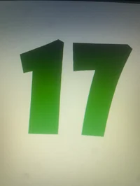 17 