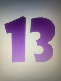 13 