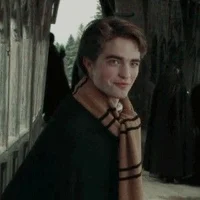 Cedric Diggory 