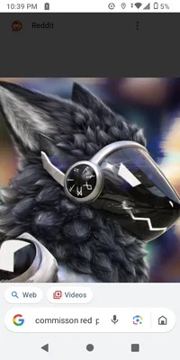 Furry school 