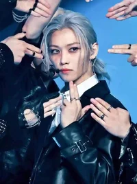 Stray Kids Bodyguard