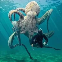 Octopus creature